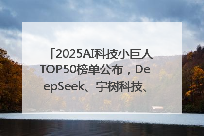 2025AI科技小巨人TOP50榜单公布，DeepSeek、宇树科技、蘑菇车联等企业荣誉上榜