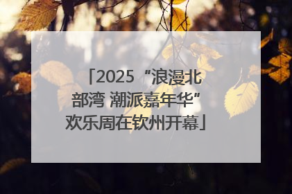 2025“浪漫北部湾 潮派嘉年华”欢乐周在钦州开幕