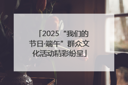 2025“我们的节日·端午”群众文化活动精彩纷呈
