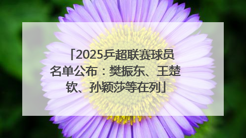 2025乒超联赛球员名单公布：樊振东、王楚钦、孙颖莎等在列