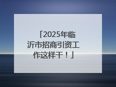 2025年临沂市招商引资工作这样干！