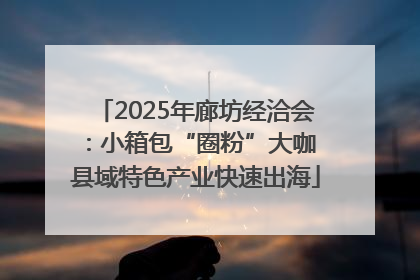 2025年廊坊经洽会：小箱包“圈粉”大咖 县域特色产业快速出海