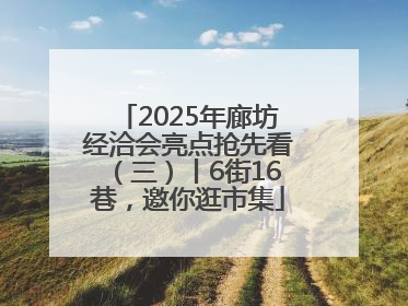 2025年廊坊经洽会亮点抢先看（三）丨6街16巷，邀你逛市集