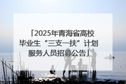 2025年青海省高校毕业生“三支一扶”计划服务人员招募公告