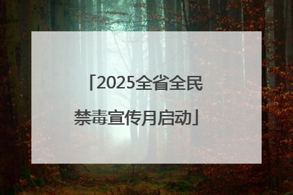 2025全省全民禁毒宣传月启动