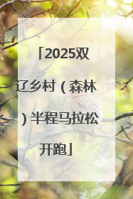 2025双辽乡村（森林）半程马拉松开跑