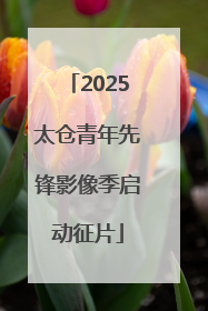 2025太仓青年先锋影像季启动征片
