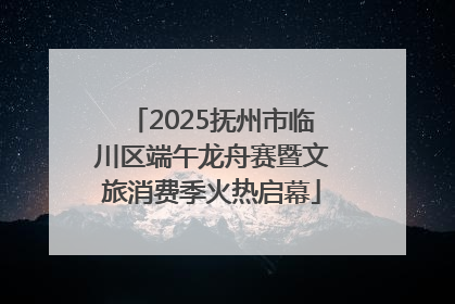 2025抚州市临川区端午龙舟赛暨文旅消费季火热启幕