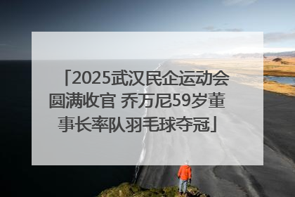 2025武汉民企运动会圆满收官 乔万尼59岁董事长率队羽毛球夺冠
