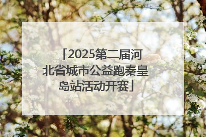 2025第二届河北省城市公益跑秦皇岛站活动开赛