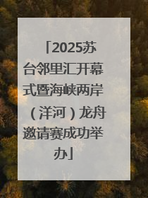 2025苏台邻里汇开幕式暨海峡两岸（洋河）龙舟邀请赛成功举办
