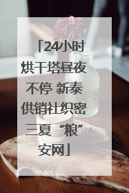24小时烘干塔昼夜不停 新泰供销社织密三夏“粮”安网