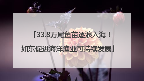 33.8万尾鱼苗逐浪入海！如东促进海洋渔业可持续发展