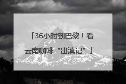 36小时到巴黎！看云南咖啡“出滇记”