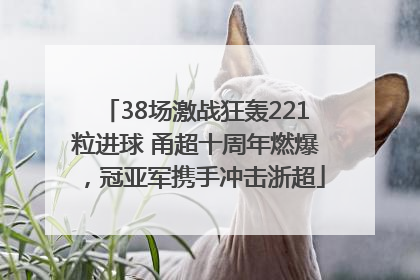 38场激战狂轰221粒进球 甬超十周年燃爆，冠亚军携手冲击浙超