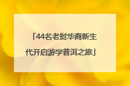 44名老挝华裔新生代开启游学普洱之旅
