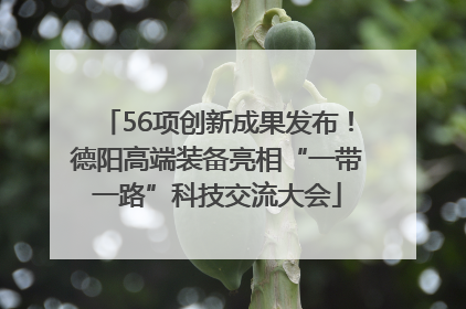 56项创新成果发布！德阳高端装备亮相“一带一路”科技交流大会