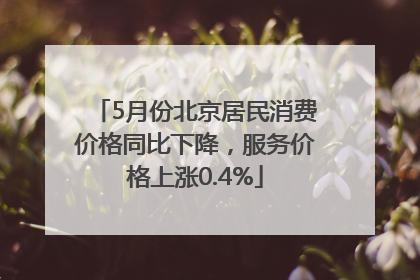 5月份北京居民消费价格同比下降，服务价格上涨0.4%