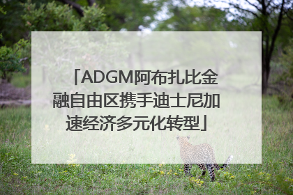 ADGM阿布扎比金融自由区携手迪士尼加速经济多元化转型