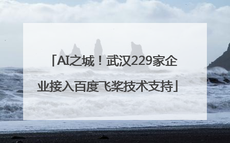 AI之城！武汉229家企业接入百度飞桨技术支持