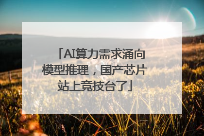 AI算力需求涌向模型推理，国产芯片站上竞技台了