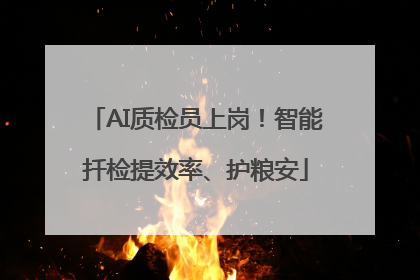 AI质检员上岗！智能扦检提效率、护粮安