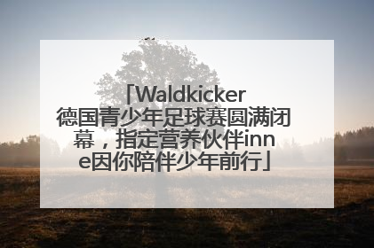 Waldkicker德国青少年足球赛圆满闭幕，指定营养伙伴inne因你陪伴少年前行
