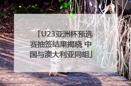 U23亚洲杯预选赛抽签结果揭晓 中国与澳大利亚同组
